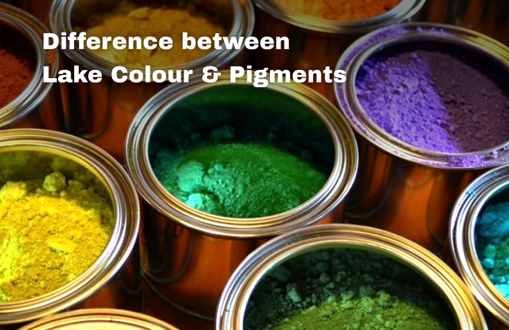 Difference between Lake Colour & Pigments Difference between Lake Colour & Pigments
